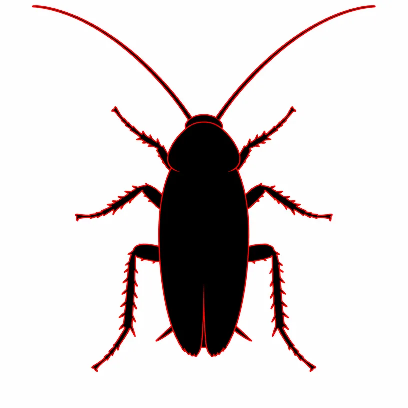 Black silhouette of a cockroach with a red outline